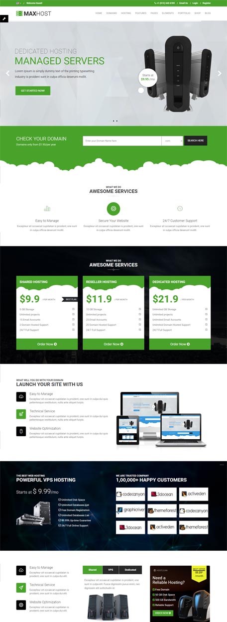Server Hosting demo preview