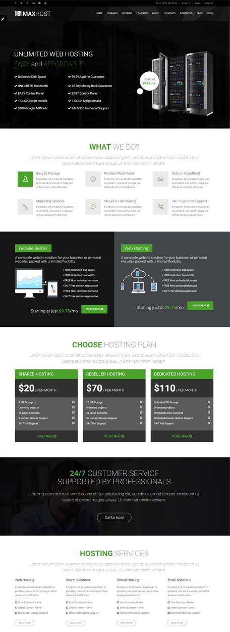 Hosting Solutions demo preview